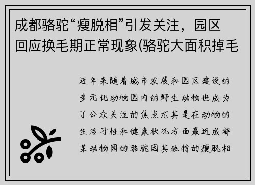 成都骆驼“瘦脱相”引发关注，园区回应换毛期正常现象(骆驼大面积掉毛)
